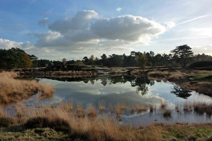Lees meer over het artikel wandelroute Bornia & Heidestein