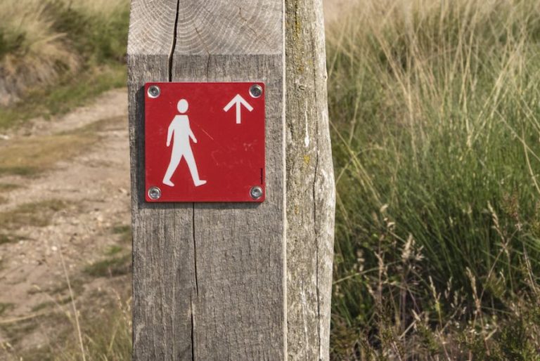 Lees meer over het artikel Routes Staatsbosbeheer
