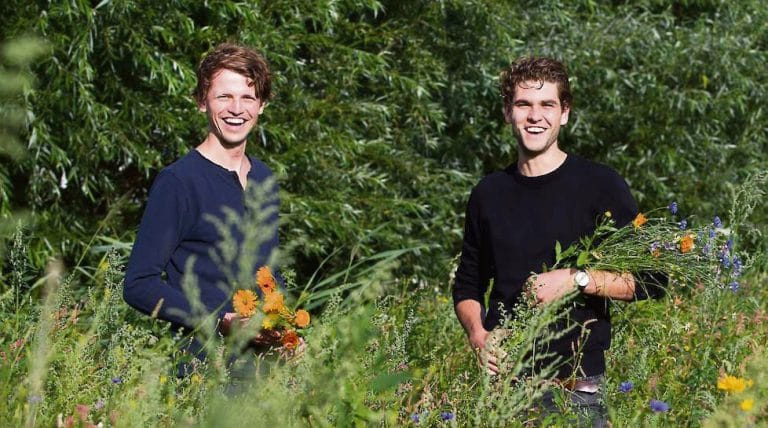 Lees meer over het artikel De aarde herstellen met theaterbezoek
