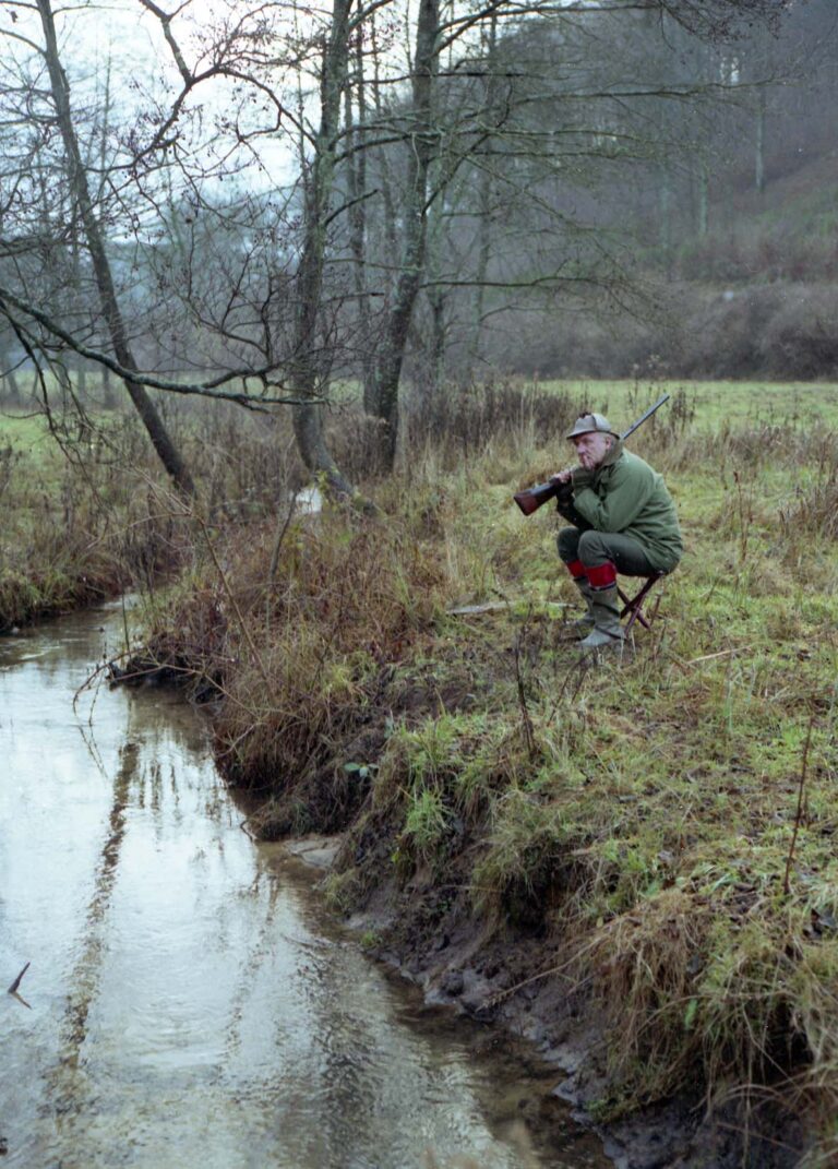 Wachtend op het wild
