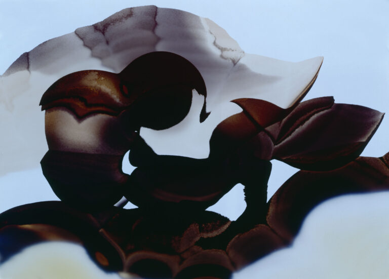 Genesis (Agate)