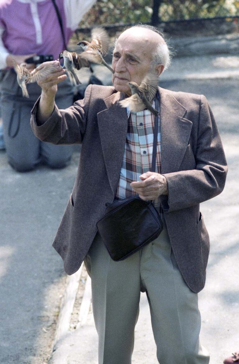 Vogelman