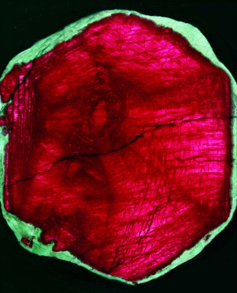 Ruby in zoisite