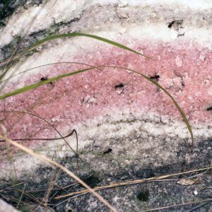 Pink Quartzite