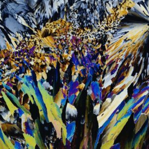 Prehnite “Jungle”