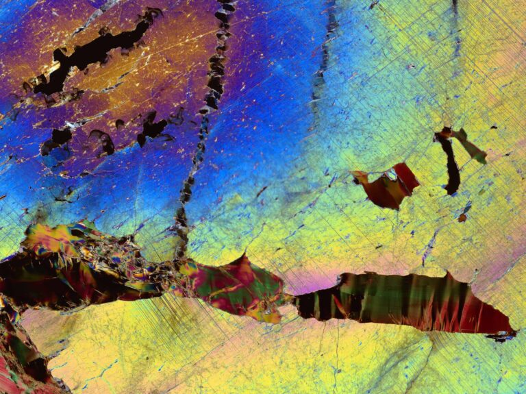 Biotite in Orthopyroxene
