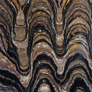 Fossil Stromatolites