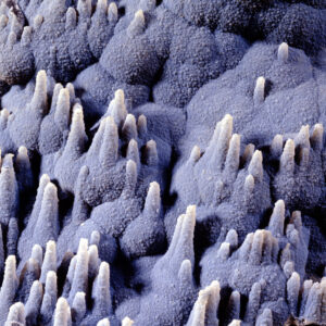 Blue Stalactites