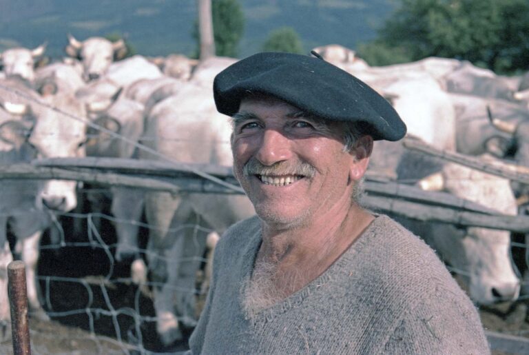 Franse boer