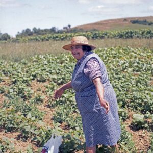 Elise in het veld