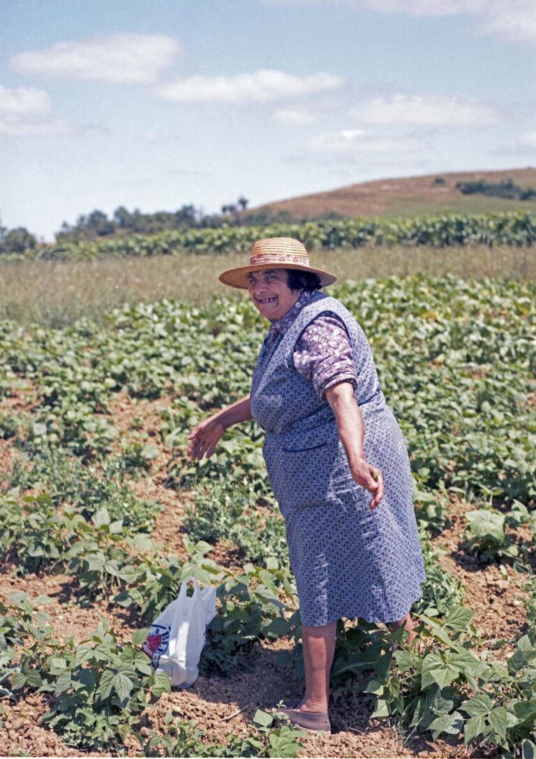 Elise in het veld